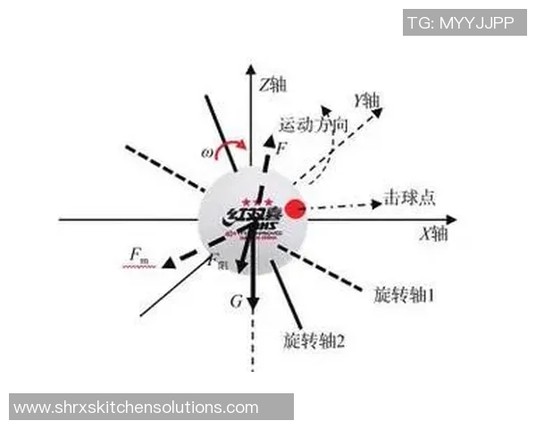 上海乒乓球队配合之道：团队默契与战术协同的深度解析